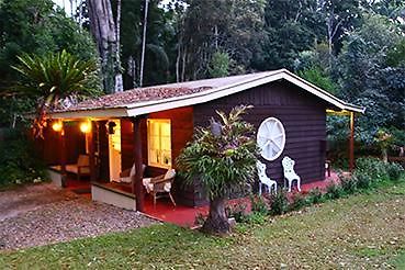 Curtis Cottage Mount Tamborine Δωμάτιο φωτογραφία